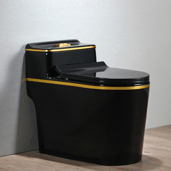 golden line black color toilet